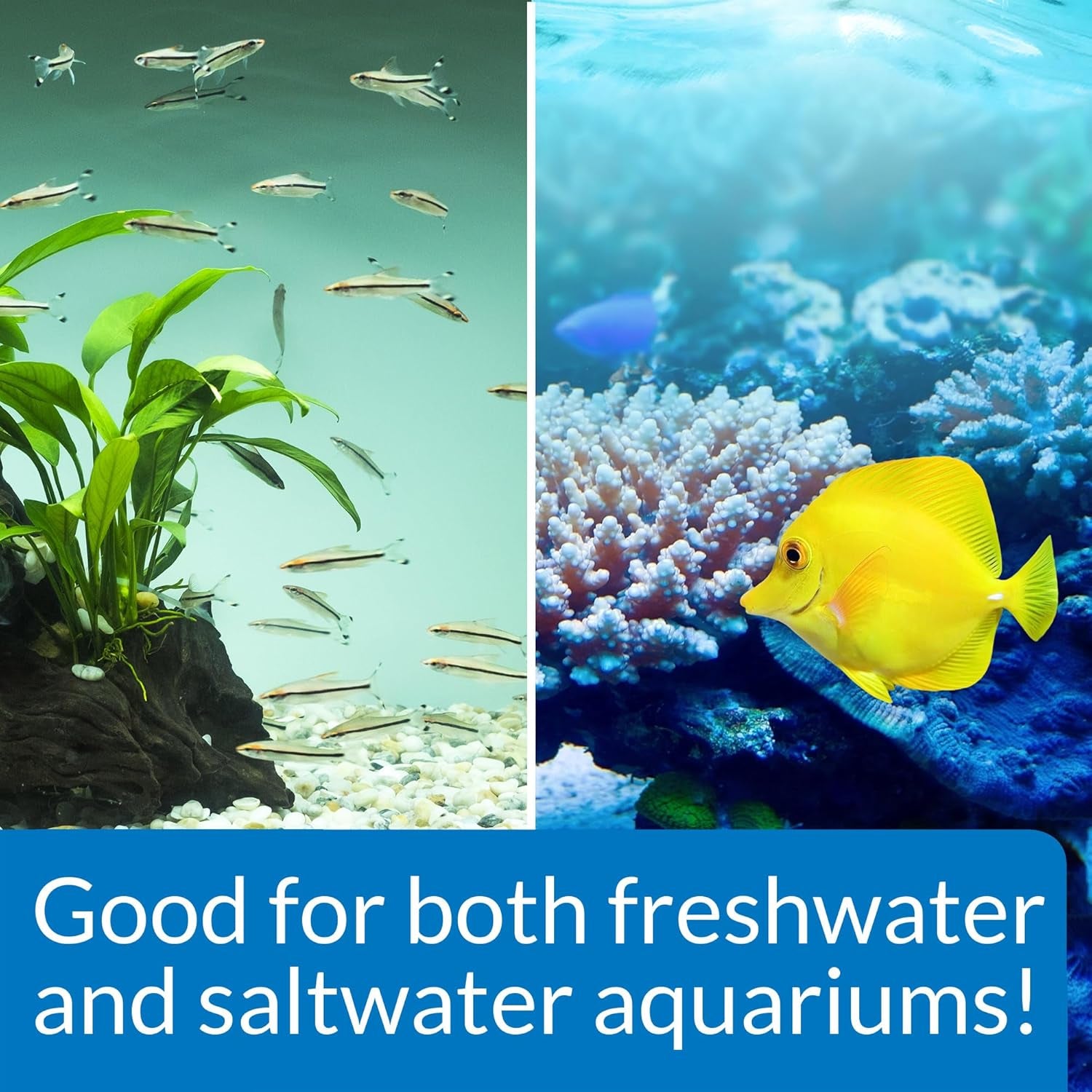STRESS ZYME Freshwater and Saltwater Aquarium Cleaning Solution 16-Ounce Bottle