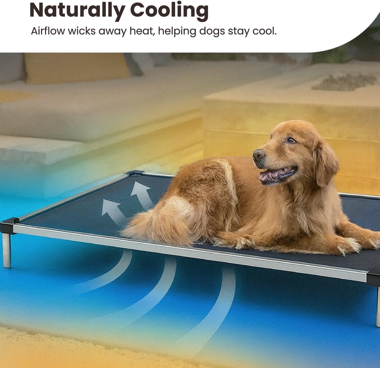Chew Proof Elevated Cooling Dog Bed - Made for Aggressive Chewers, Virtually Indestructible, Ripstop Fabric with No Padding, Pre-Assembled - Large, Seasonal (Old) Black