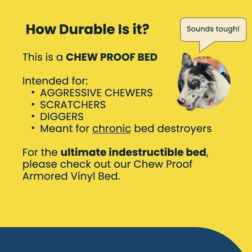 Chew Proof Elevated Cooling Dog Bed - Made for Aggressive Chewers, Virtually Indestructible, Ripstop Fabric with No Padding, Pre-Assembled - Large, Seasonal (Old) Black